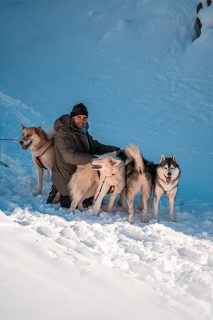 chiens neige iliès 